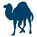 Perl